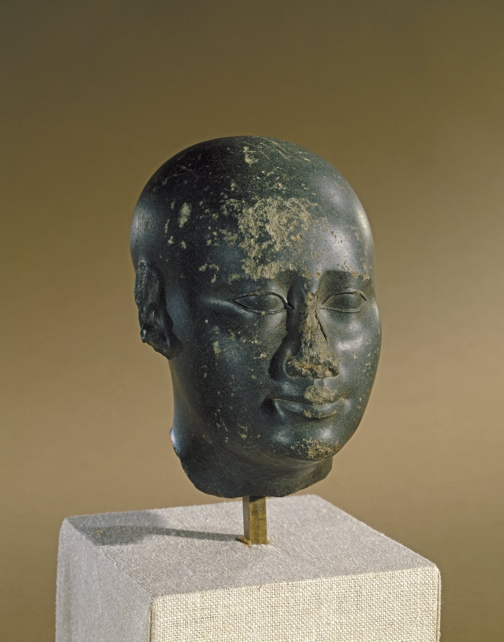 Munakalloisen miehen pää (basaltti) tekijältä Late Period Egyptian