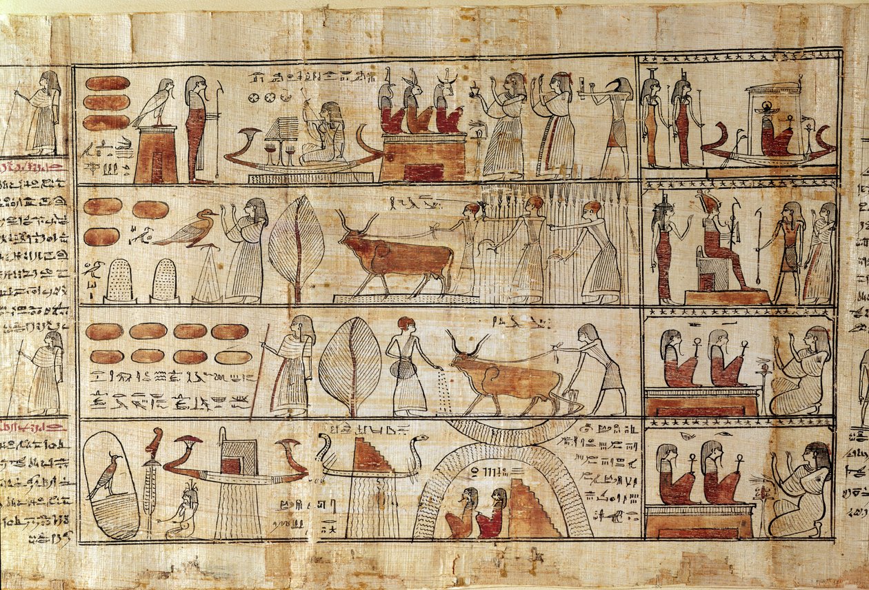 Maatalouskohtaukset, yksityiskohta Tsekhonien kuolleiden kirjasta (papyrus) tekijältä Late Period Egyptian