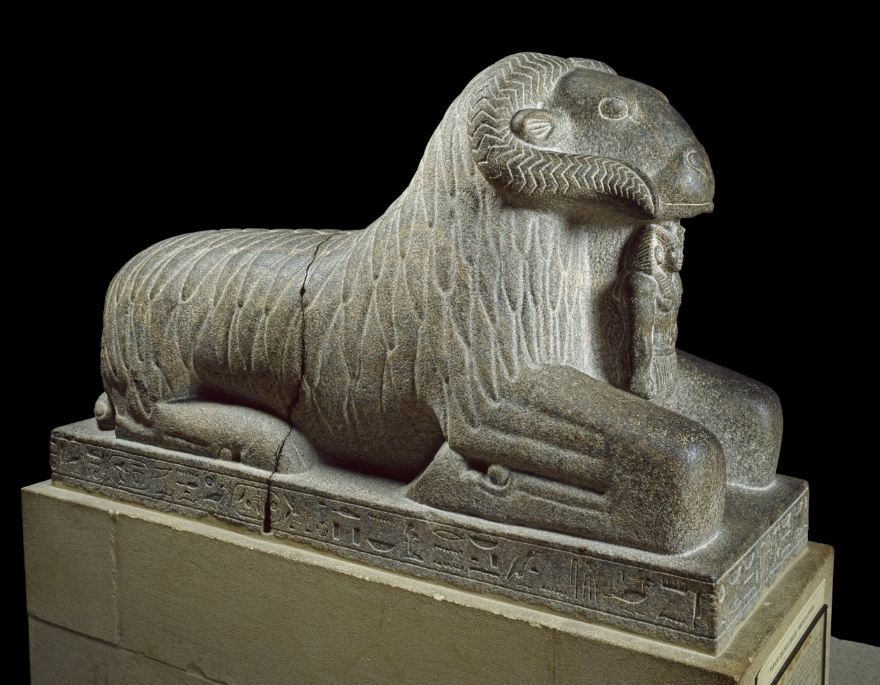 Amunin pässin patsas, noin 680 eKr. (graniitti) tekijältä Late Period Egyptian