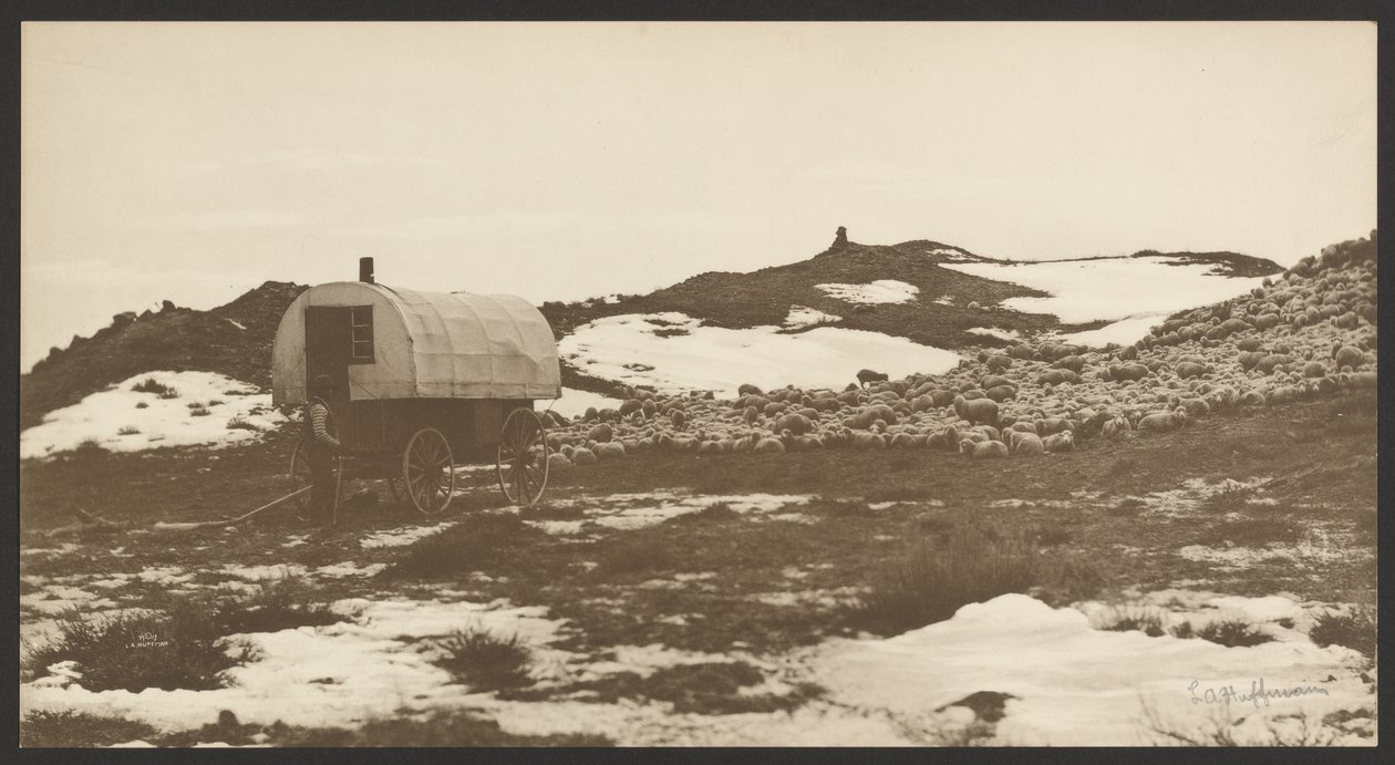 [Kuljettaja, lammasvaunu ja bändi talvisängyssä] tekijältä Laton Alton Huffman