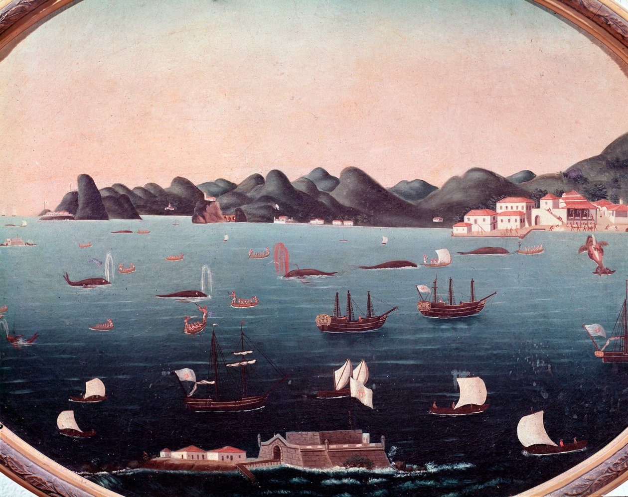 Valaanpyynti Guanabaran lahdella Brasiliassa Akvarelli Leandro Joaquim (1738-1798) 1700-luvun Rio de Janeiro, kansallinen historiallinen museo tekijältä Leandro Joachim