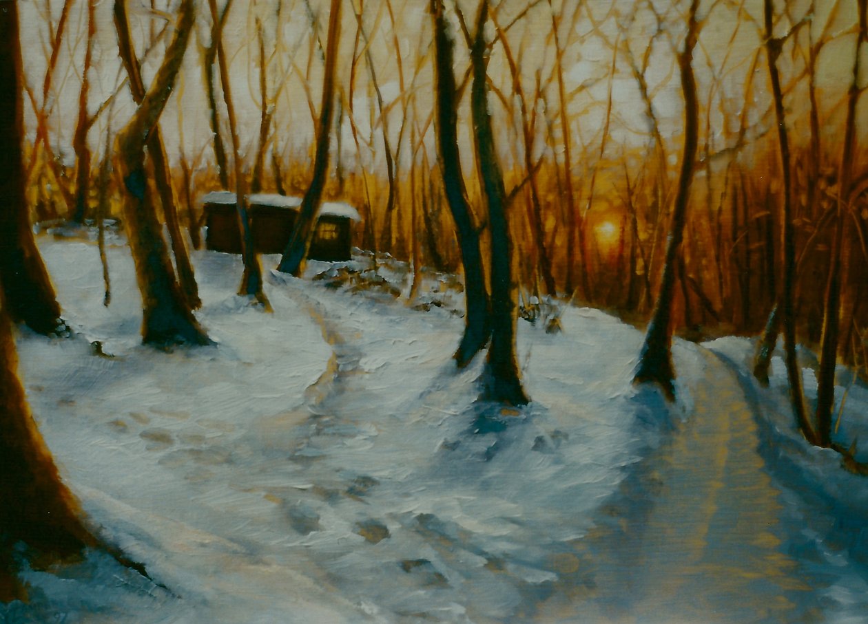 Snowy Woods 2002 auringonlasku tekijältä Lee Campbell
