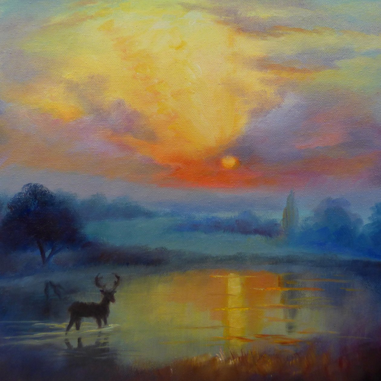 Richmond Park, 2019 tekijältä Lee Campbell
