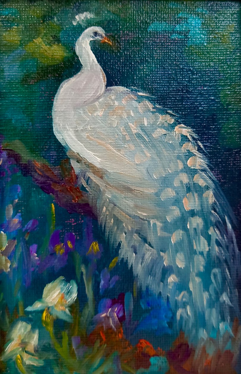 Valkoinen riikinkukko, 2025 (öljy kankaalle) tekijältä Lee Campbell