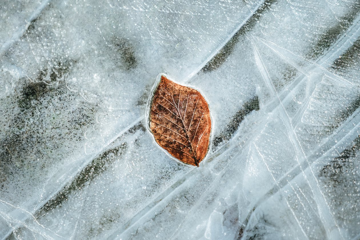 Ennen sulamista, 2023 (kuva) tekijältä Lee Cooper