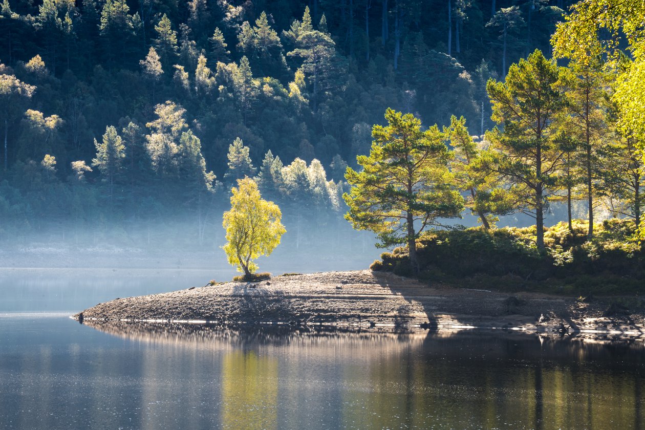  tekijältä Lee Cooper