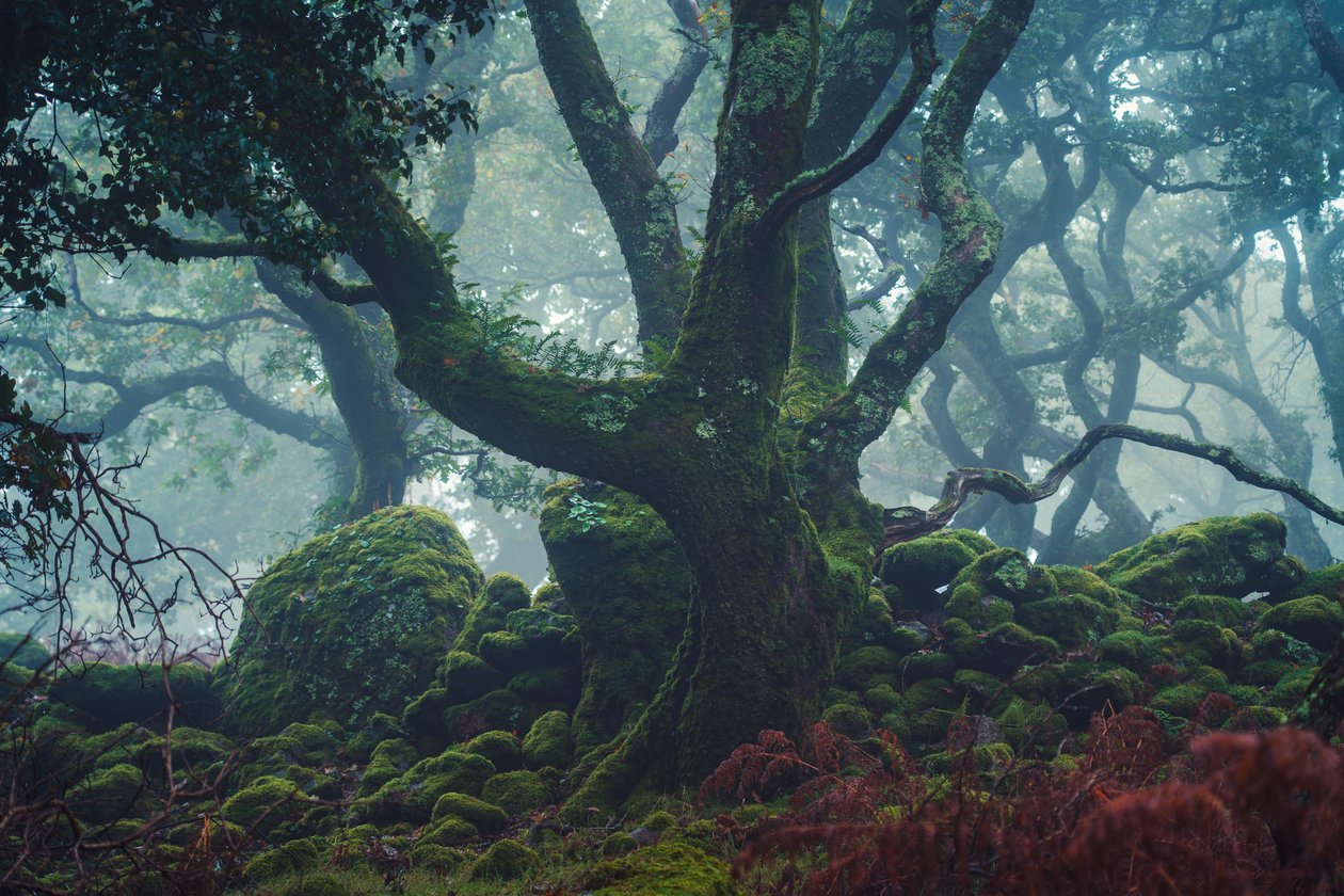 Frosted Light, 2024 (kuva) tekijältä Lee Cooper