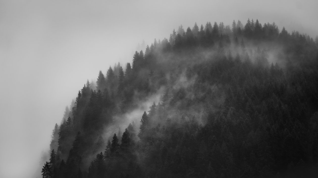  tekijältä Lee Cooper