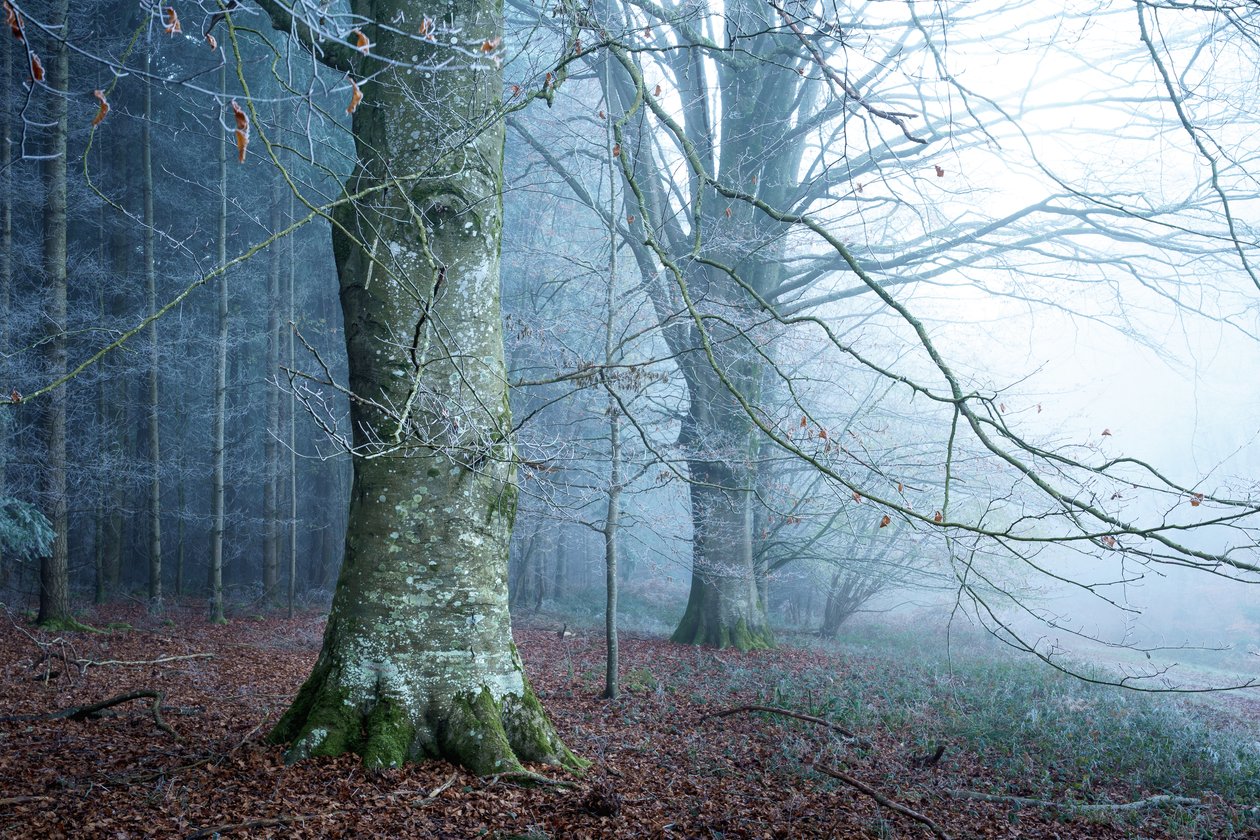  tekijältä Lee Cooper
