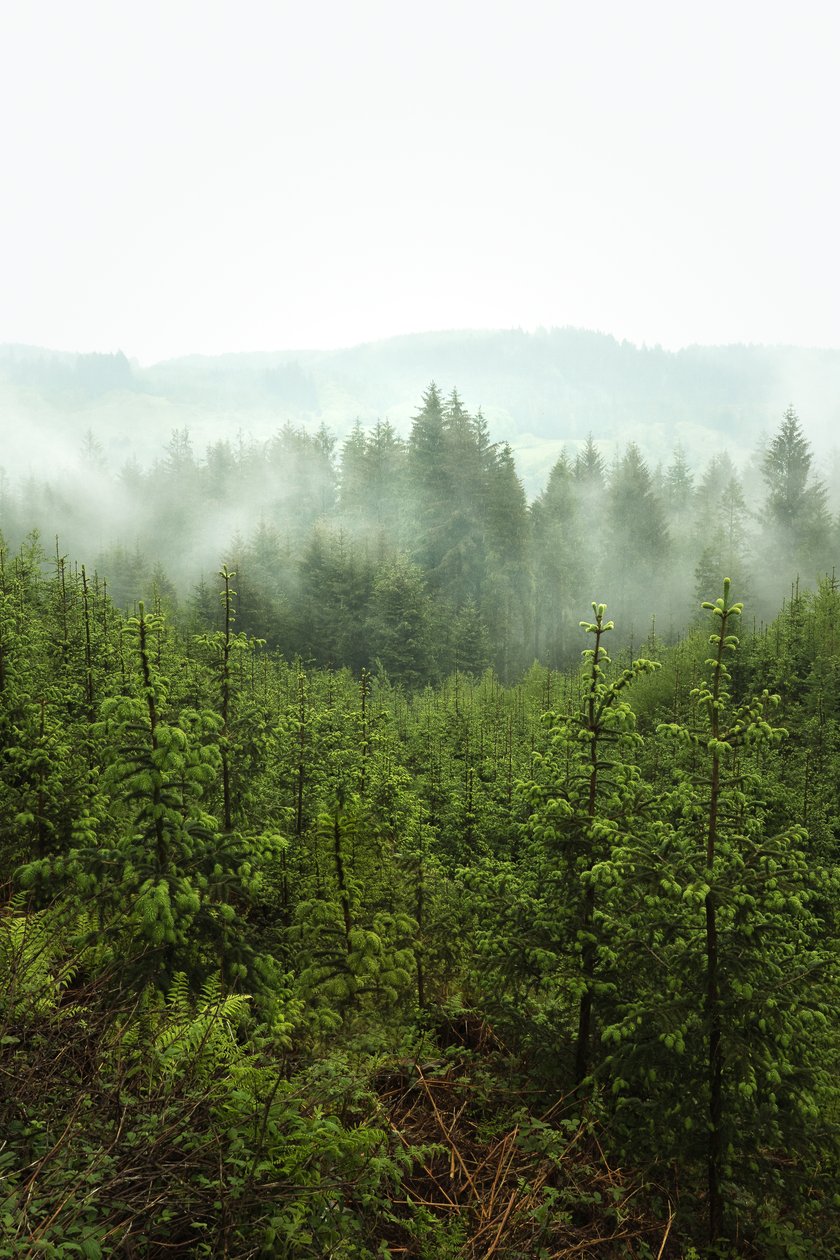  tekijältä Lee Cooper