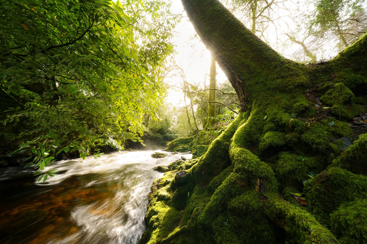  tekijältä Lee Cooper