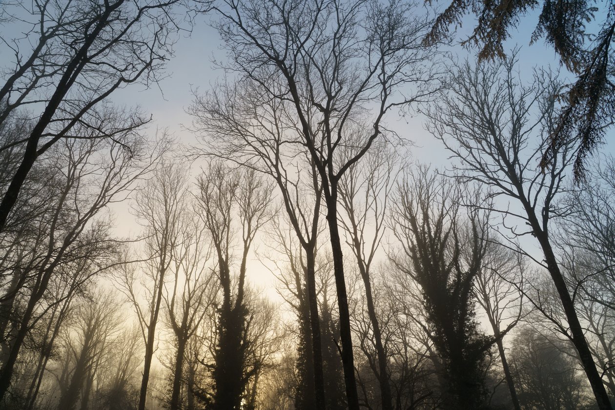  tekijältä Lee Cooper