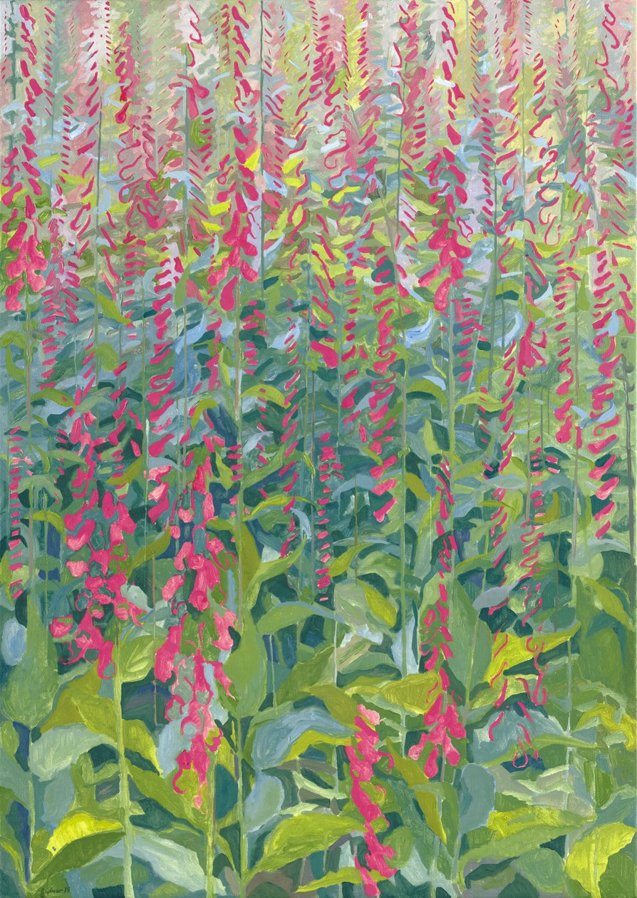 Foxgloves, 2014 tekijältä Leigh Glover