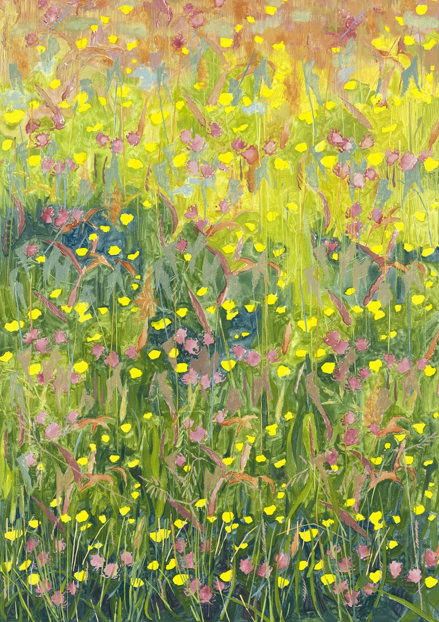 Kesäniitty, 2012, tekijältä Leigh Glover