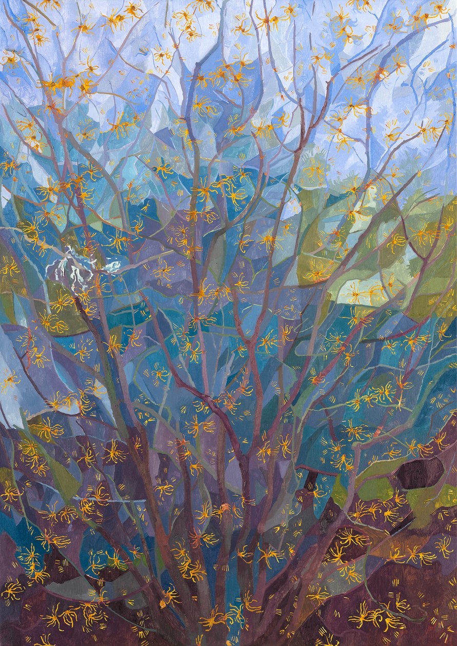Taikapähkinän kukka, 2015 tekijältä Leigh Glover