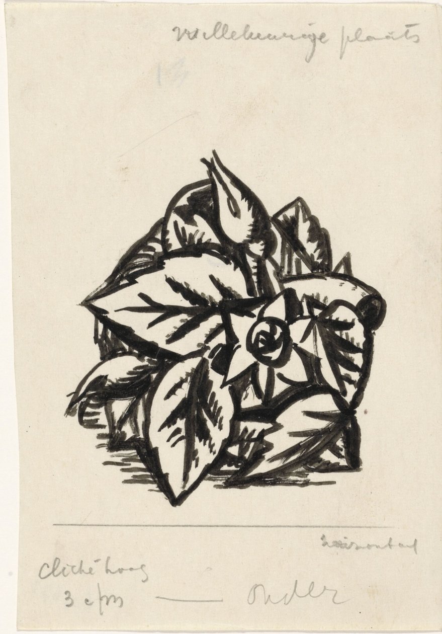 acabat floral tekijältä Leo Gestel