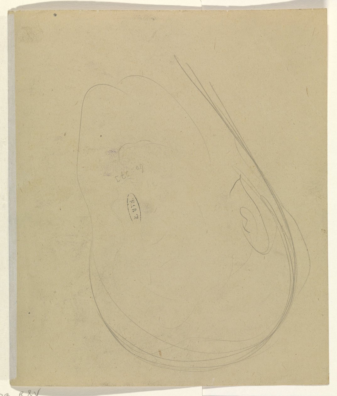 Pään muodot tekijältä Leo Gestel