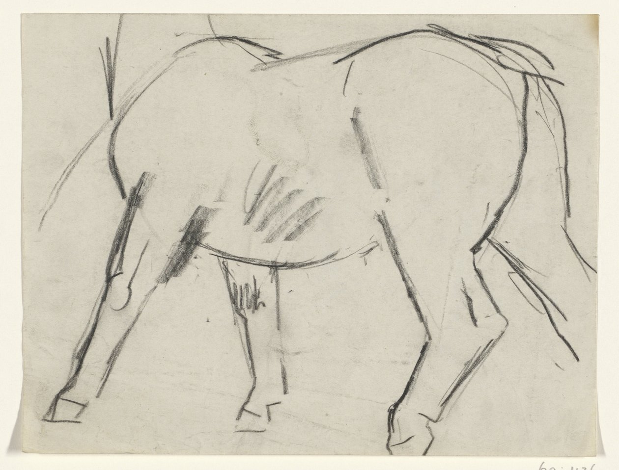 Hevosen runko tekijältä Leo Gestel