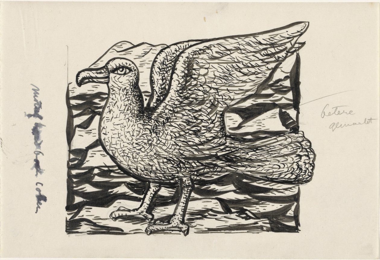 lokki tekijältä Leo Gestel