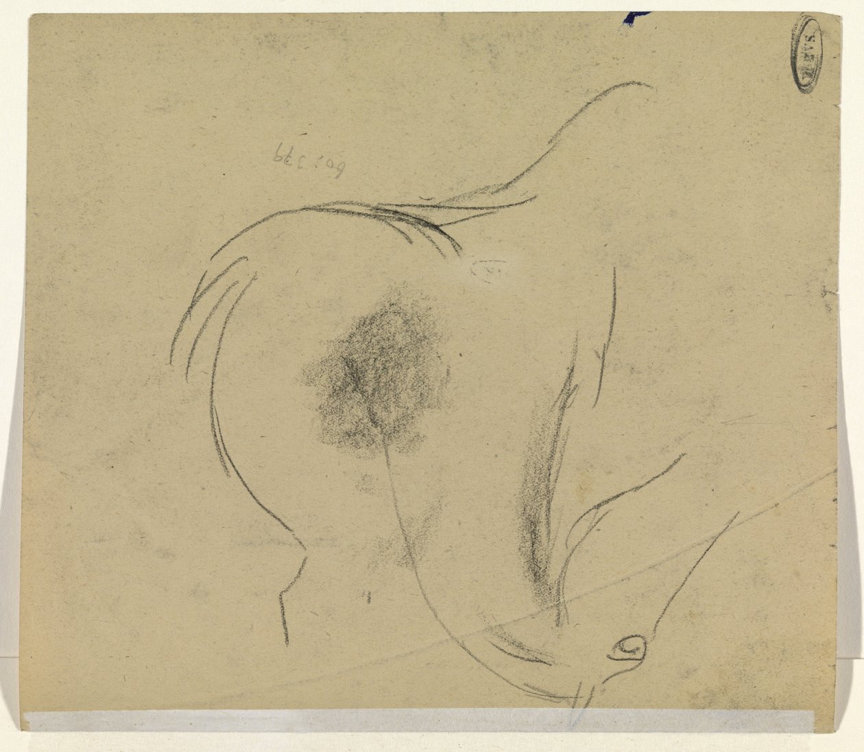 hevosen pää tekijältä Leo Gestel