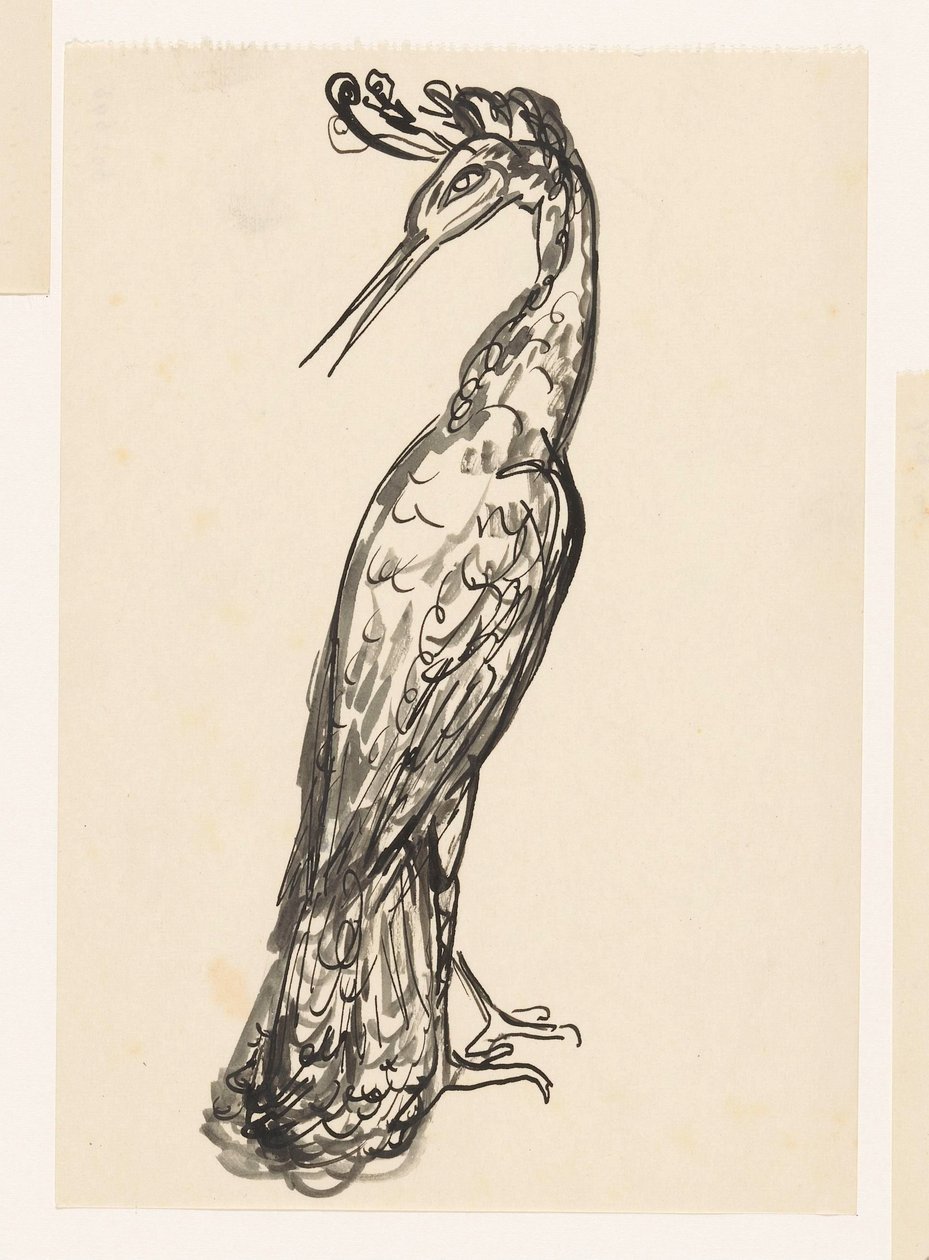 Heron käänsi päänsä taaksepäin tekijältä Leo Gestel