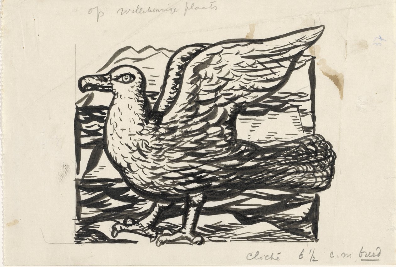 Lokki tekijältä Leo Gestel
