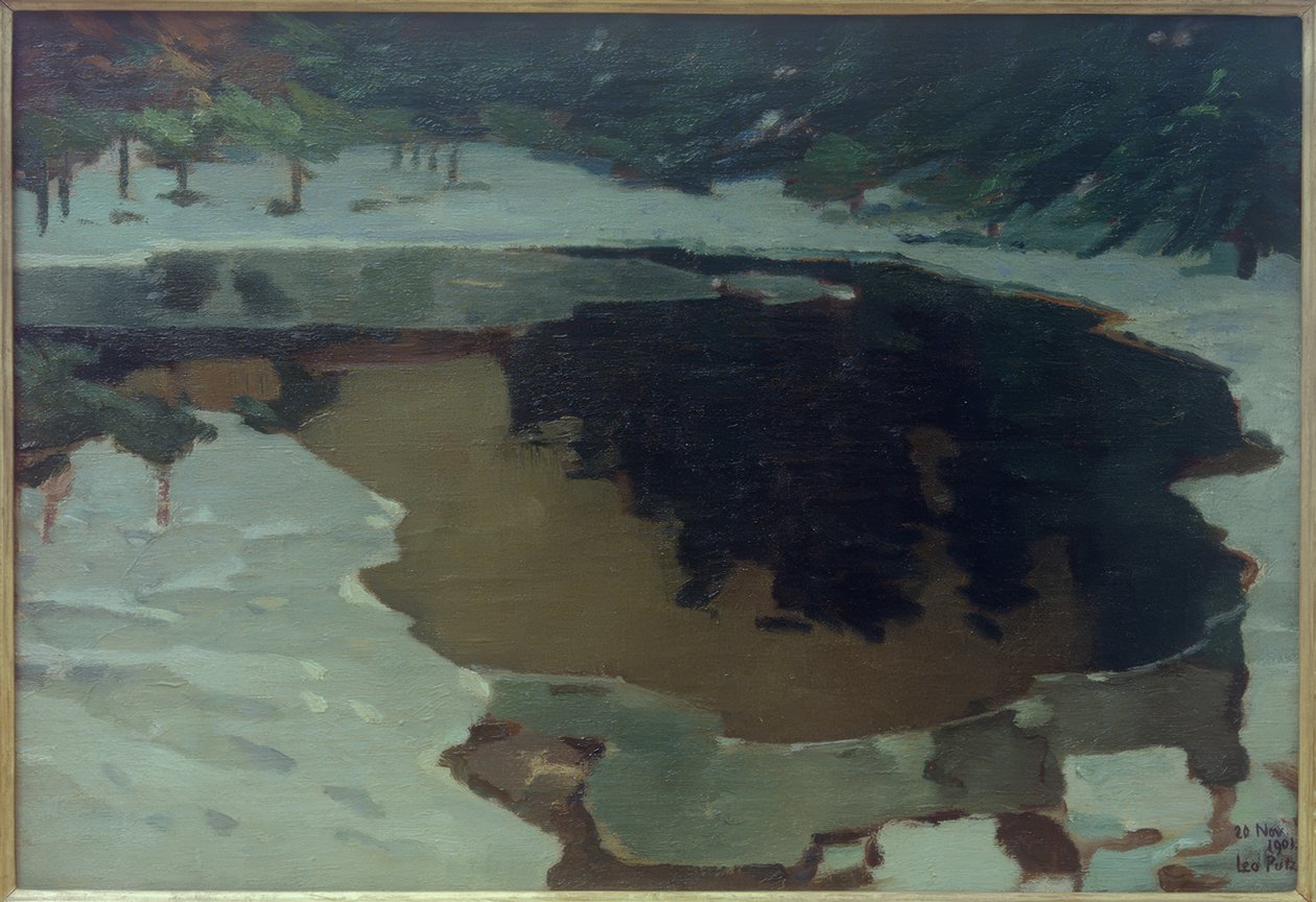 Moorjärvi talvella tekijältä Leo Putz