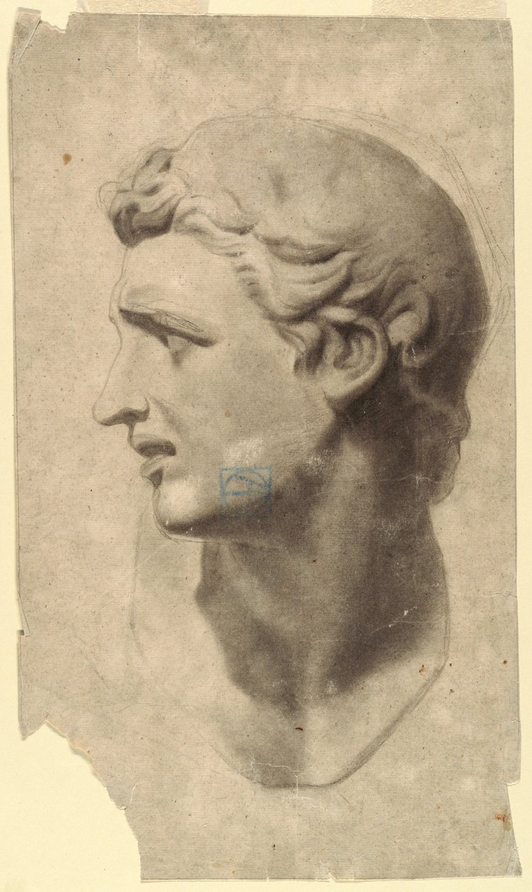 Piirustus, Klassisen miehen pään tutkimus (kipsivalu), 1881-92. tekijältä Leon Dabo