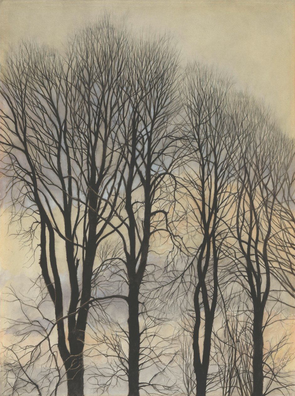 Puu taivaalla tekijältä Leon Spilliaert
