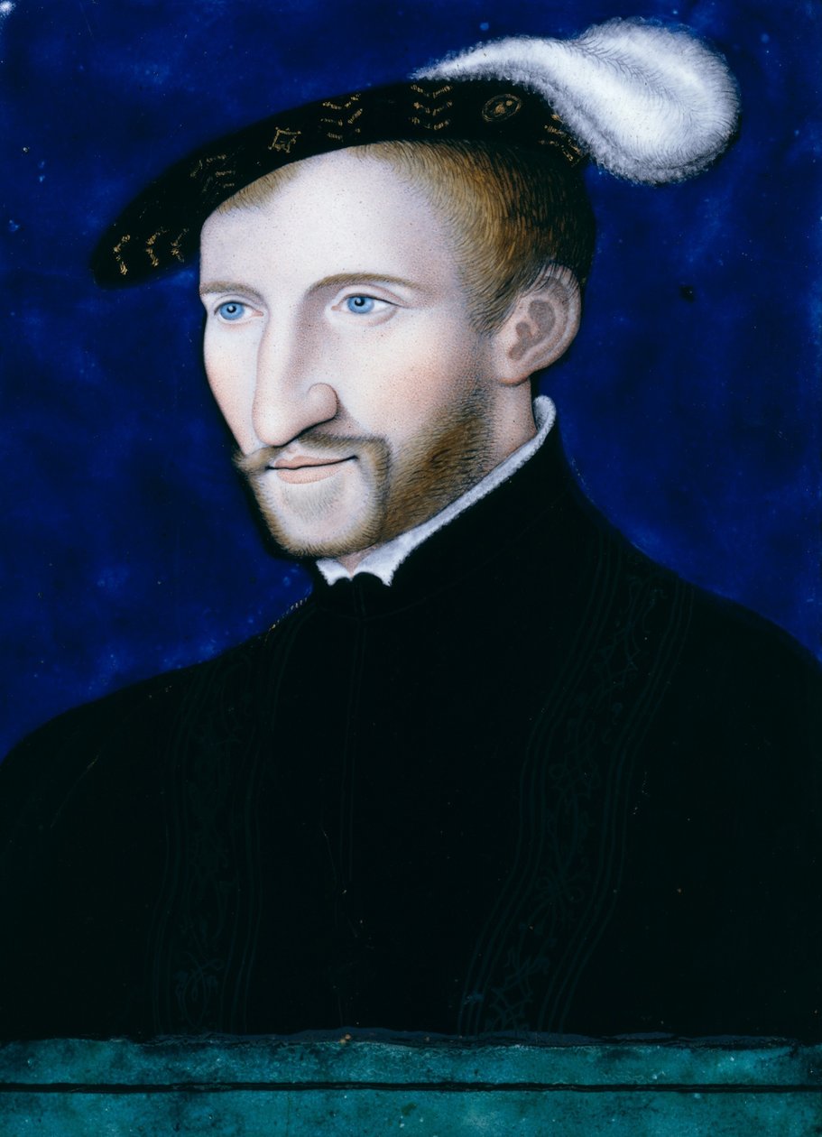 Henri d"Albret, Navarran kuningas, 1556 tekijältä Leonard Limosin