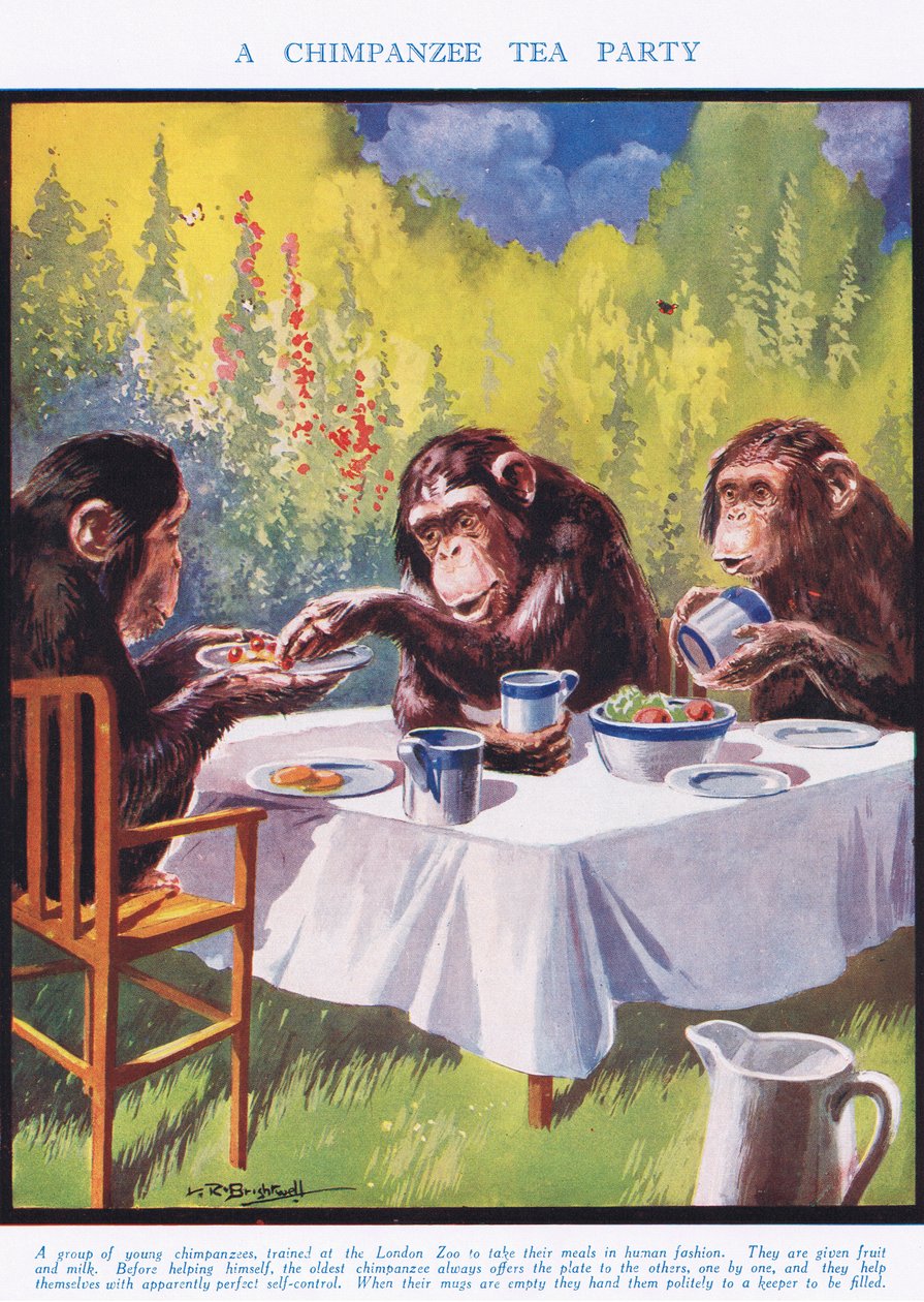 Simpanssiteekutsut, kuvitus teoksesta "The Science of Life" tekijältä Leonard Robert Brightwell