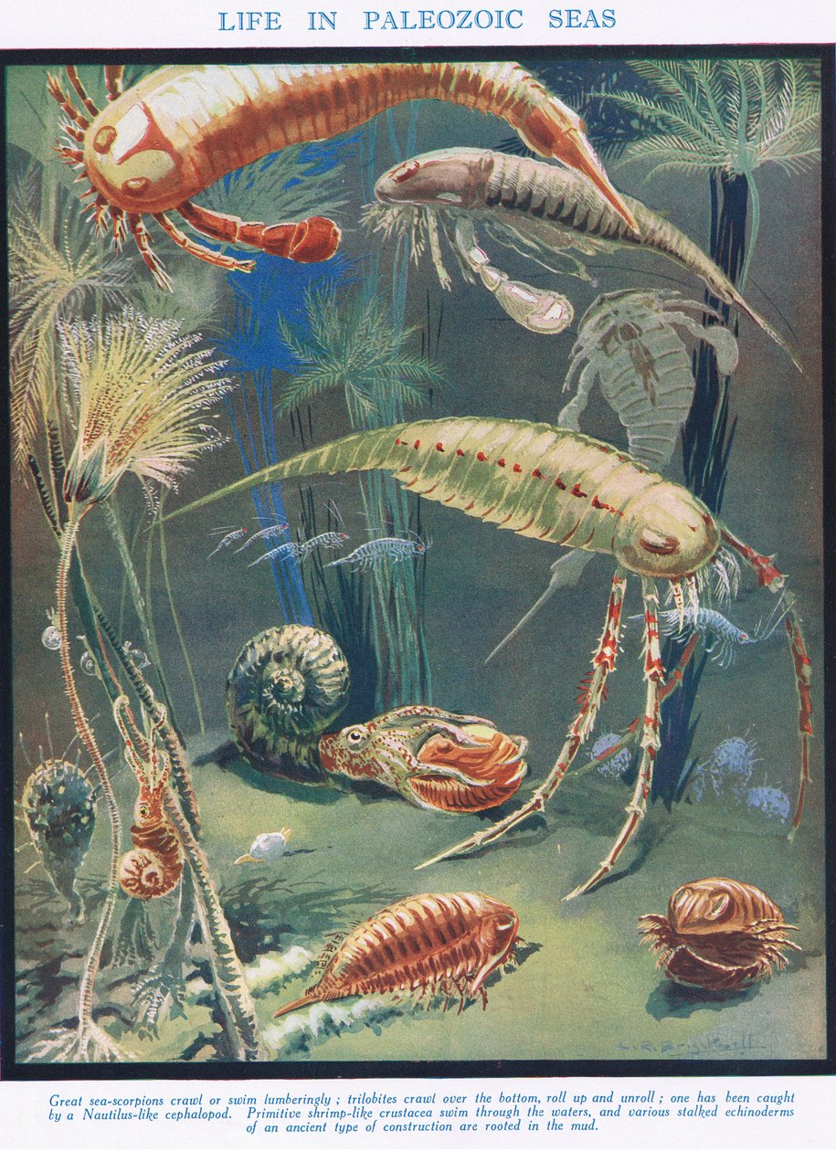 Elämä paleotsoisissa merissä, kuvitus teoksesta "The Science of Life" tekijältä Leonard Robert Brightwell