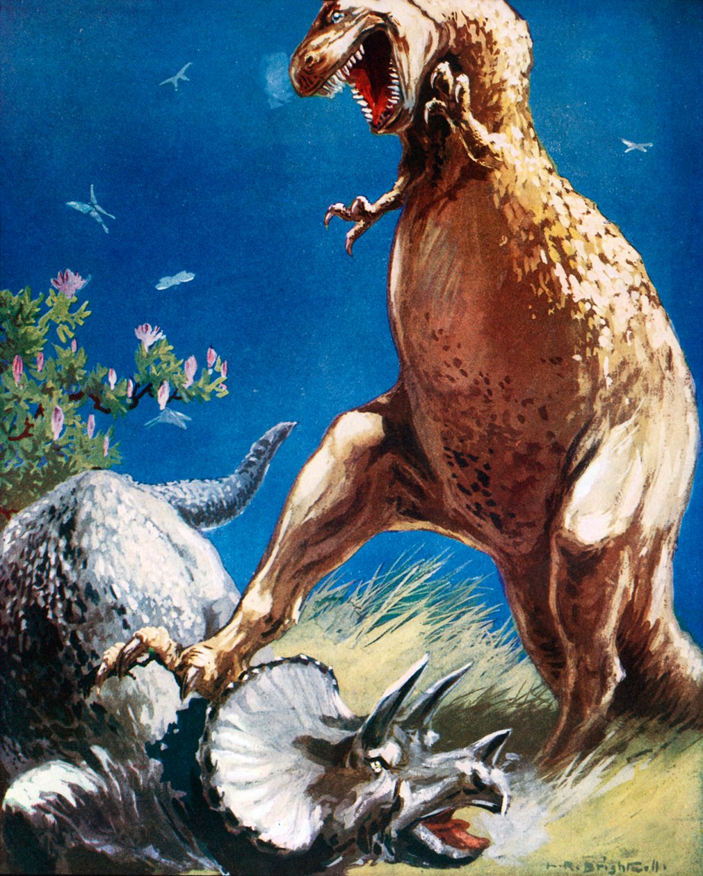  tekijältä Leonard Robert Brightwell