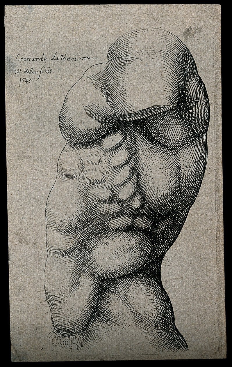 Miesten vartalo ilman käsivartta tekijältä Leonardo da Vinci