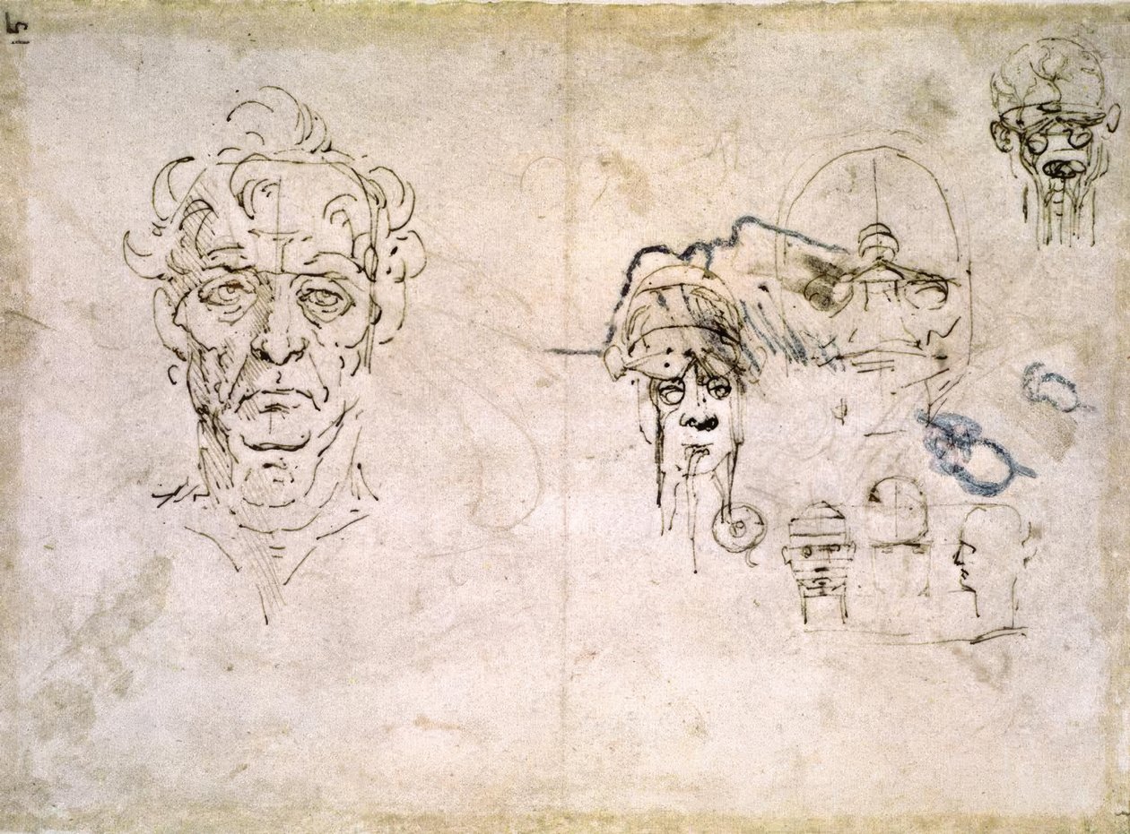 Anatomiestudien tekijältä Leonardo da Vinci