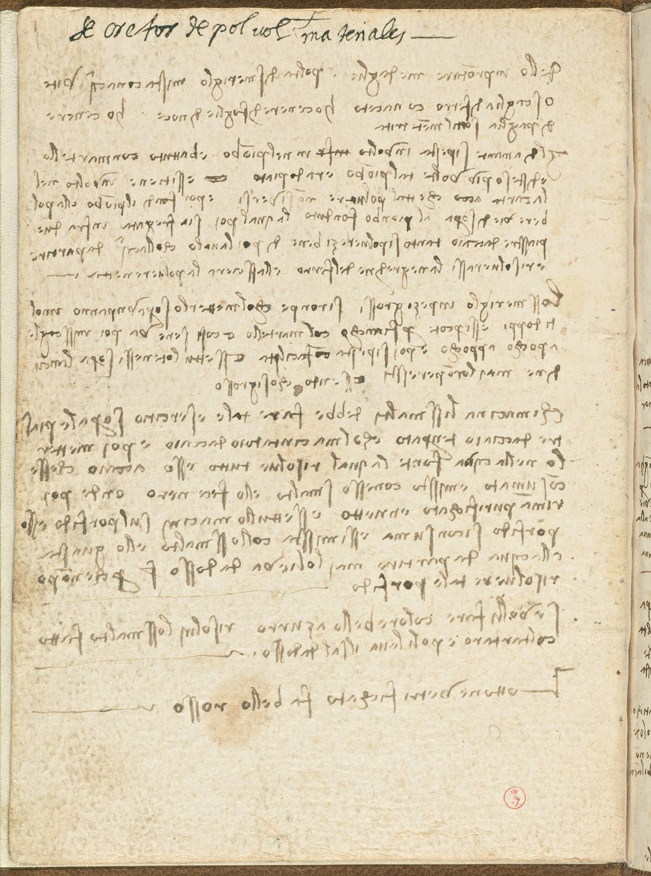 Lintujen lentokoodi, c. 1505-06, paperikäsikirjoitus, cc. 18, kansi II tekijältä Leonardo da Vinci