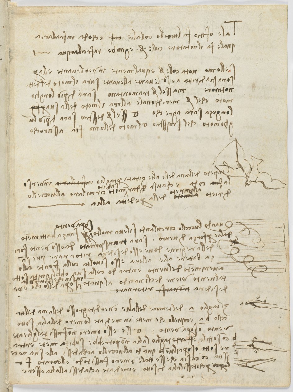 Birds Flight Code, c. 1505-06, paperikäsikirjoitus, cc. 18, arkki 10 recto tekijältä Leonardo da Vinci