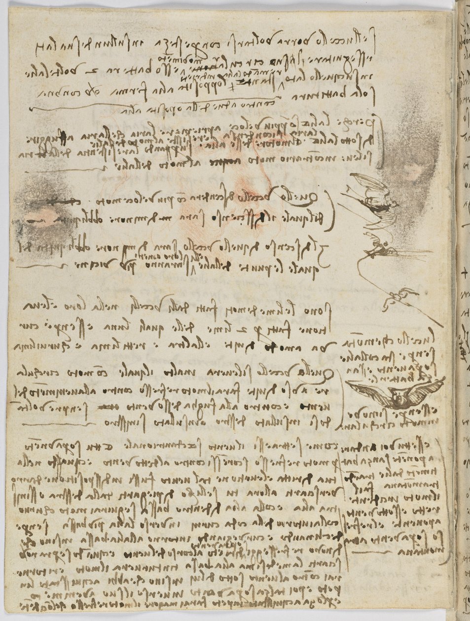 Birds Flight Code, c. 1505-06, paperikäsikirjoitus, cc. 18, arkki 10 verso tekijältä Leonardo da Vinci