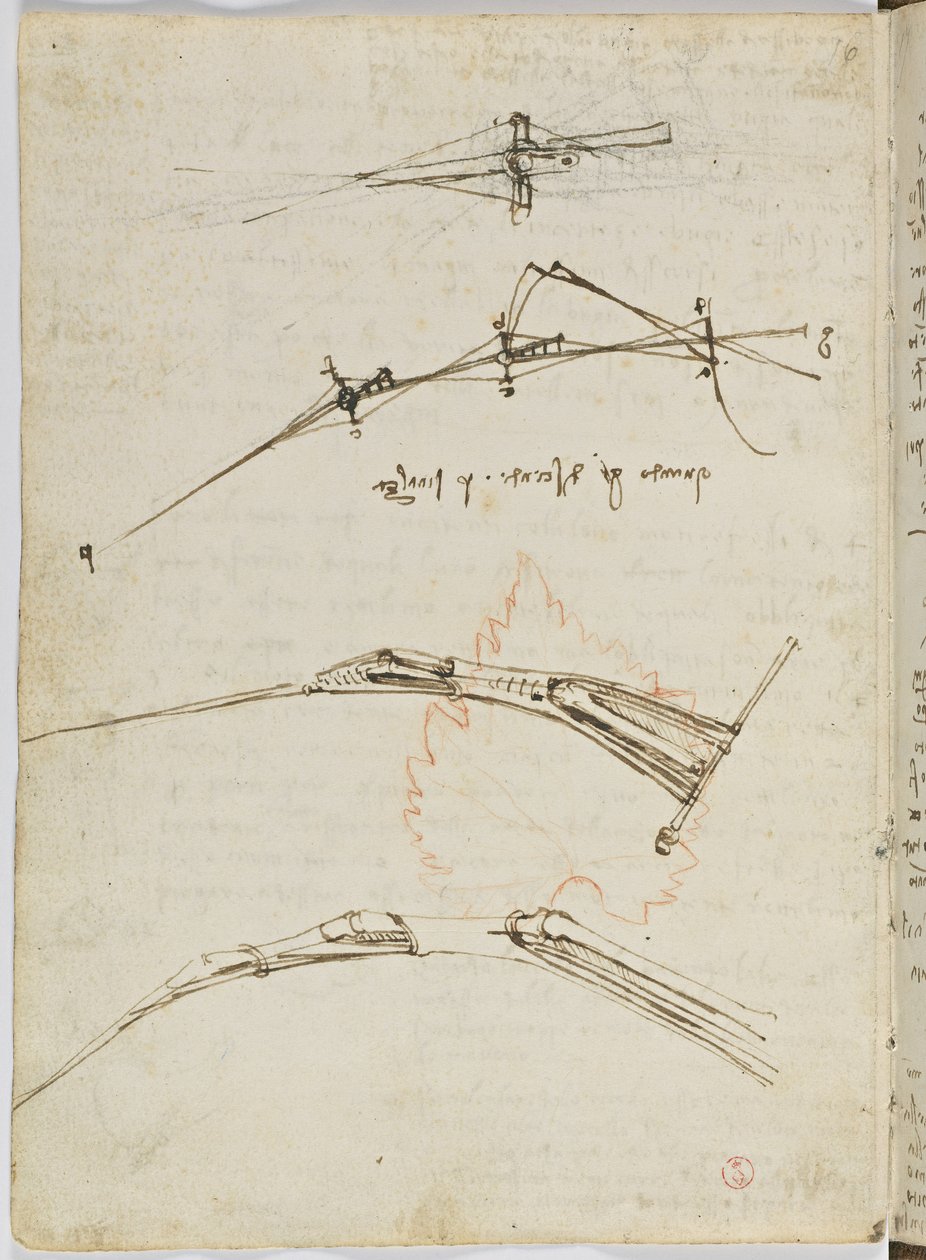 Birds Flight Code, c. 1505-06, paperikäsikirjoitus, cc. 18, arkki 11 verso tekijältä Leonardo da Vinci