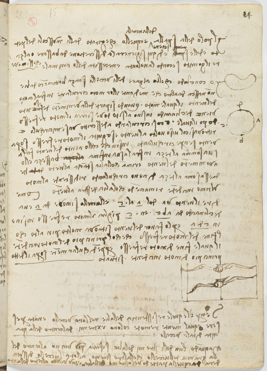 Birds Flight Code, c. 1505-06, paperikäsikirjoitus, cc. 18, arkki 14 recto tekijältä Leonardo da Vinci