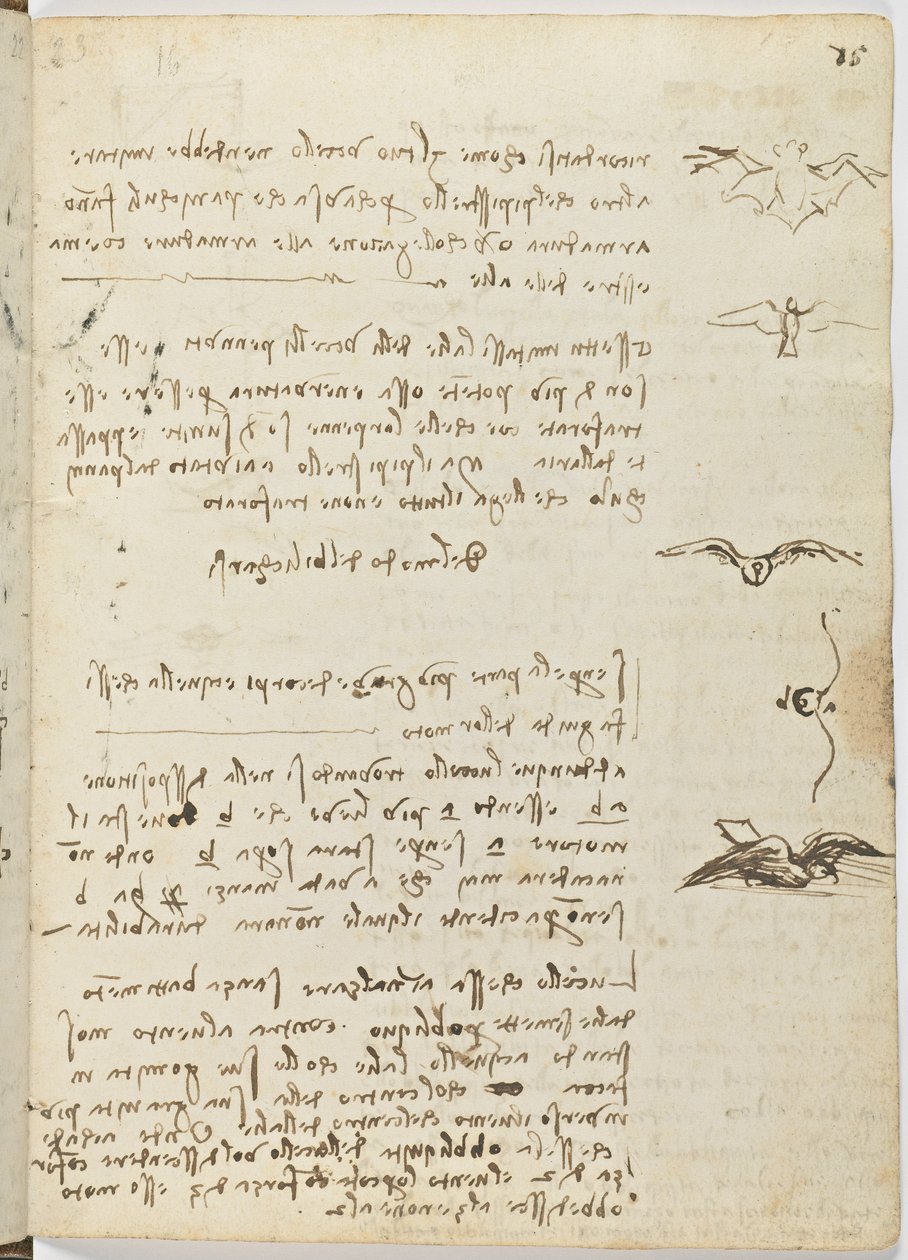 Birds Flight Code, c. 1505-06, paperikäsikirjoitus, cc. 18, arkki 15 recto tekijältä Leonardo da Vinci
