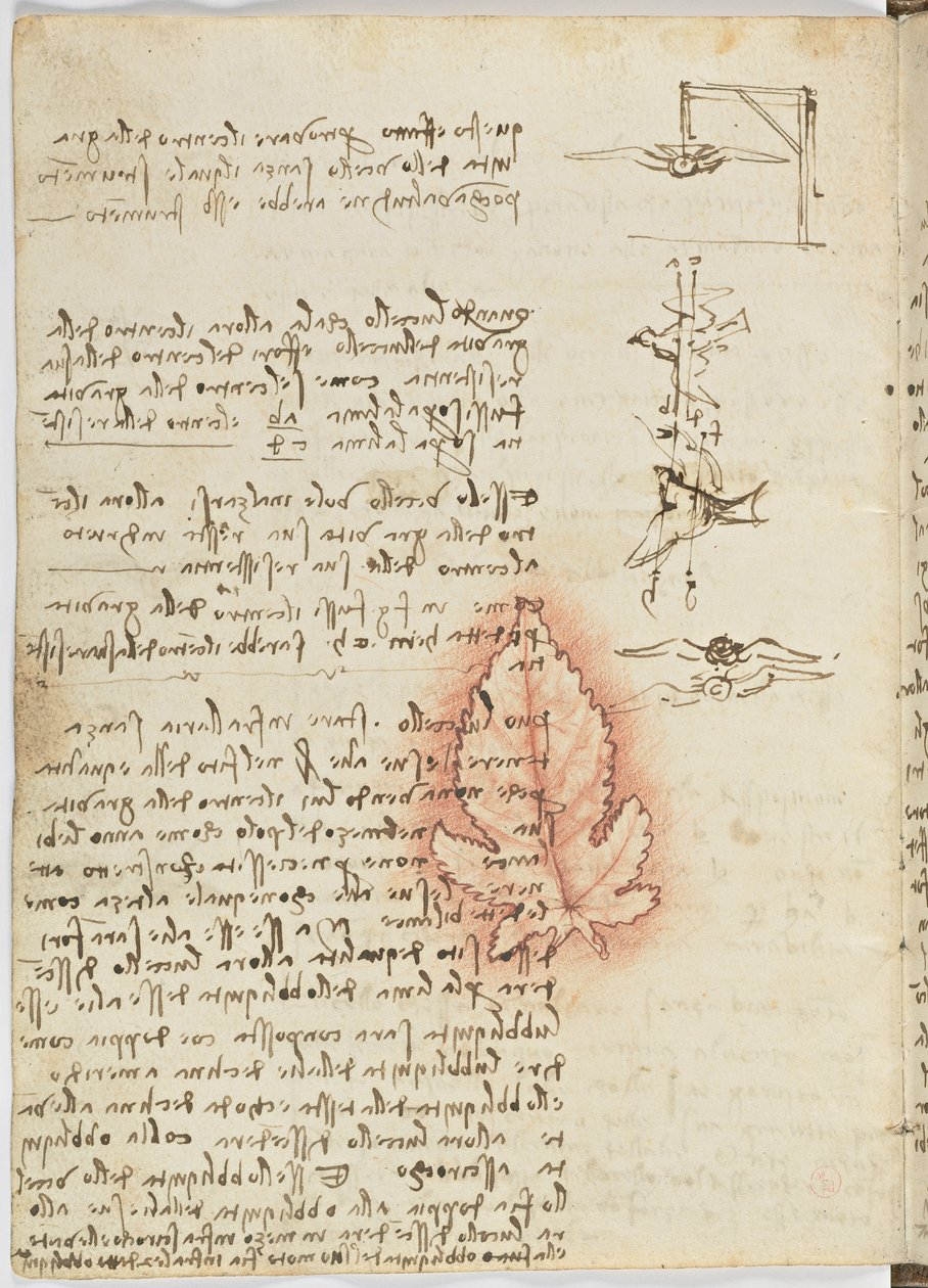 Birds Flight Code, c. 1505-06, paperikäsikirjoitus, cc. 18, arkki 15 verso tekijältä Leonardo da Vinci
