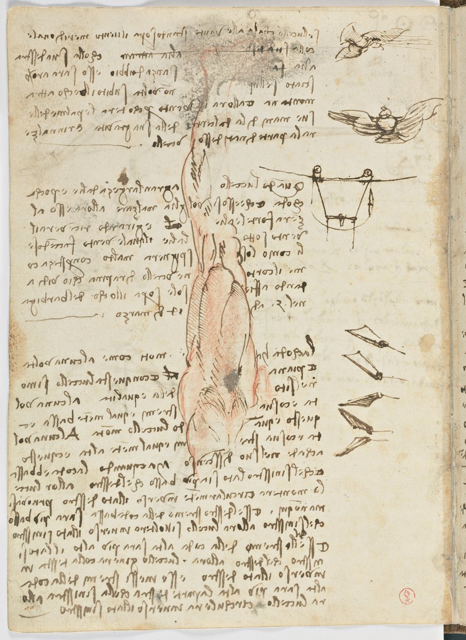 Birds Flight Code, c. 1505-06, paperikäsikirjoitus, cc. 18, arkki 17 verso tekijältä Leonardo da Vinci
