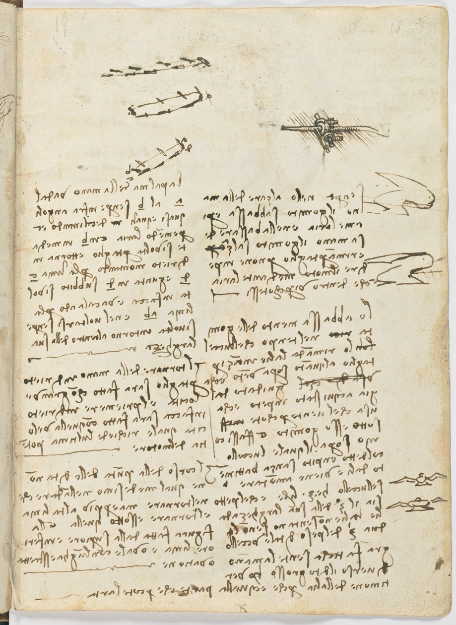 Birds Flight Code, c. 1505-06, paperikäsikirjoitus, cc. 18, arkki 18 recto tekijältä Leonardo da Vinci