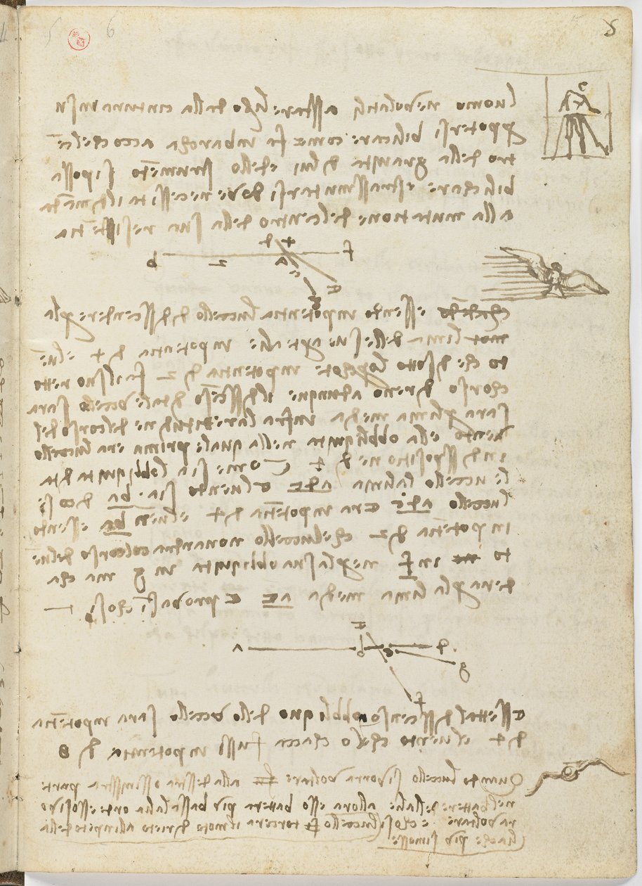 Birds Flight Code, c. 1505-06, paperikäsikirjoitus, cc. 18, arkki 5 recto tekijältä Leonardo da Vinci