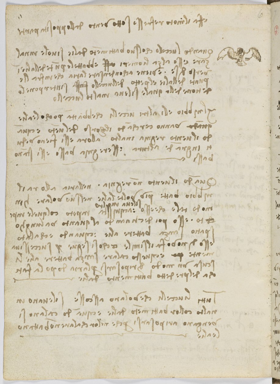 Birds Flight Code, c. 1505-06, paperikäsikirjoitus, cc. 18, arkki 5 verso tekijältä Leonardo da Vinci