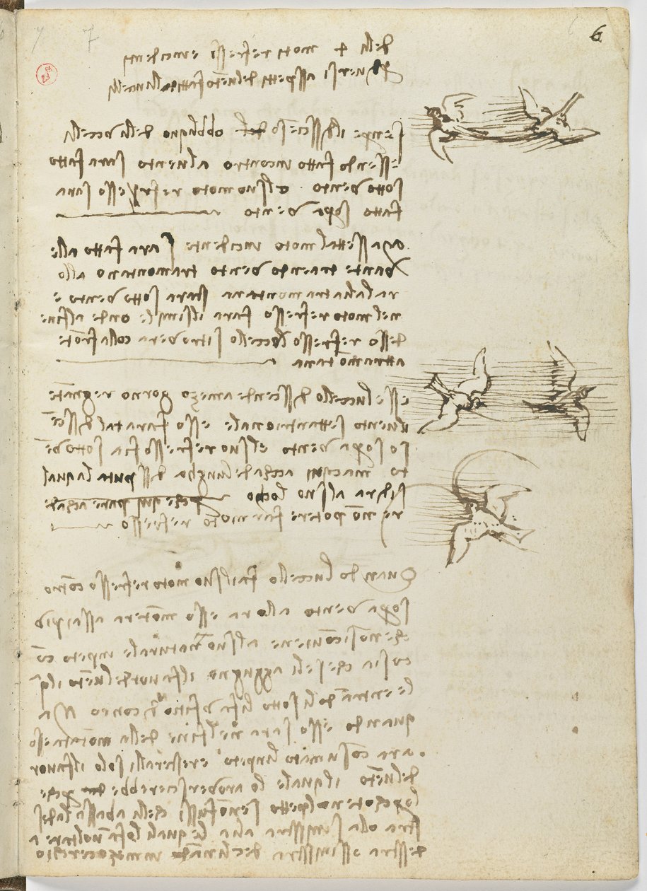 Birds Flight Code, c. 1505-06, paperikäsikirjoitus, cc. 18, arkki 6 recto tekijältä Leonardo da Vinci