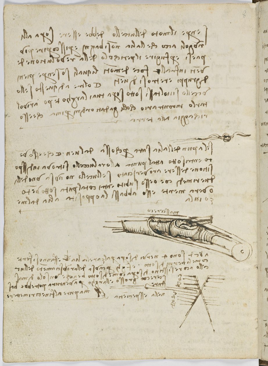 Birds Flight Code, c. 1505-06, paperikäsikirjoitus, cc. 18, arkki 6 verso tekijältä Leonardo da Vinci