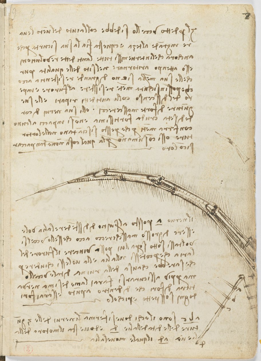 Birds Flight Code, c. 1505-06, paperikäsikirjoitus, cc. 18, arkki 7 recto tekijältä Leonardo da Vinci