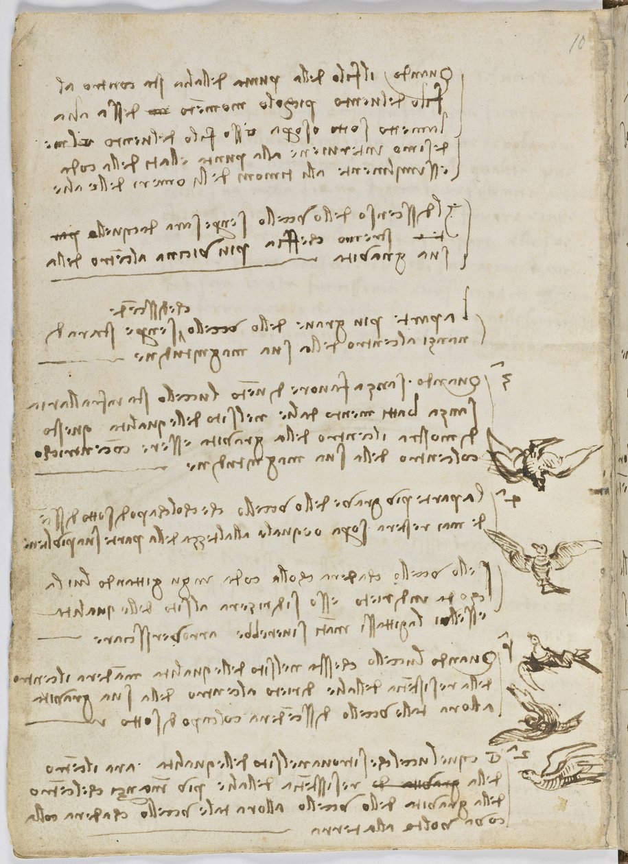 Birds Flight Code, c. 1505-06, paperikäsikirjoitus, cc. 18, arkki 7 verso tekijältä Leonardo da Vinci